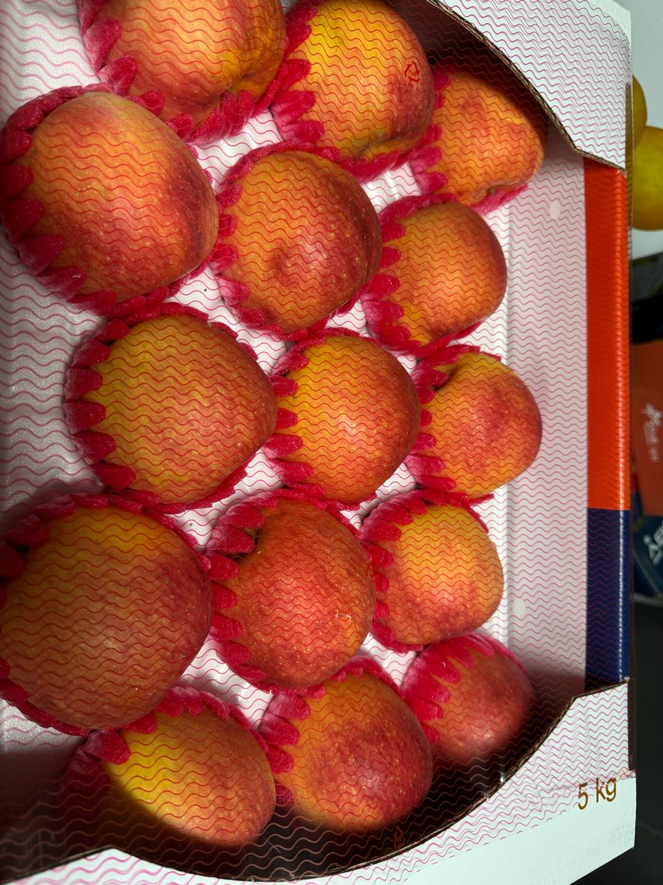 아리수 사과5키로15과 38000무료배송