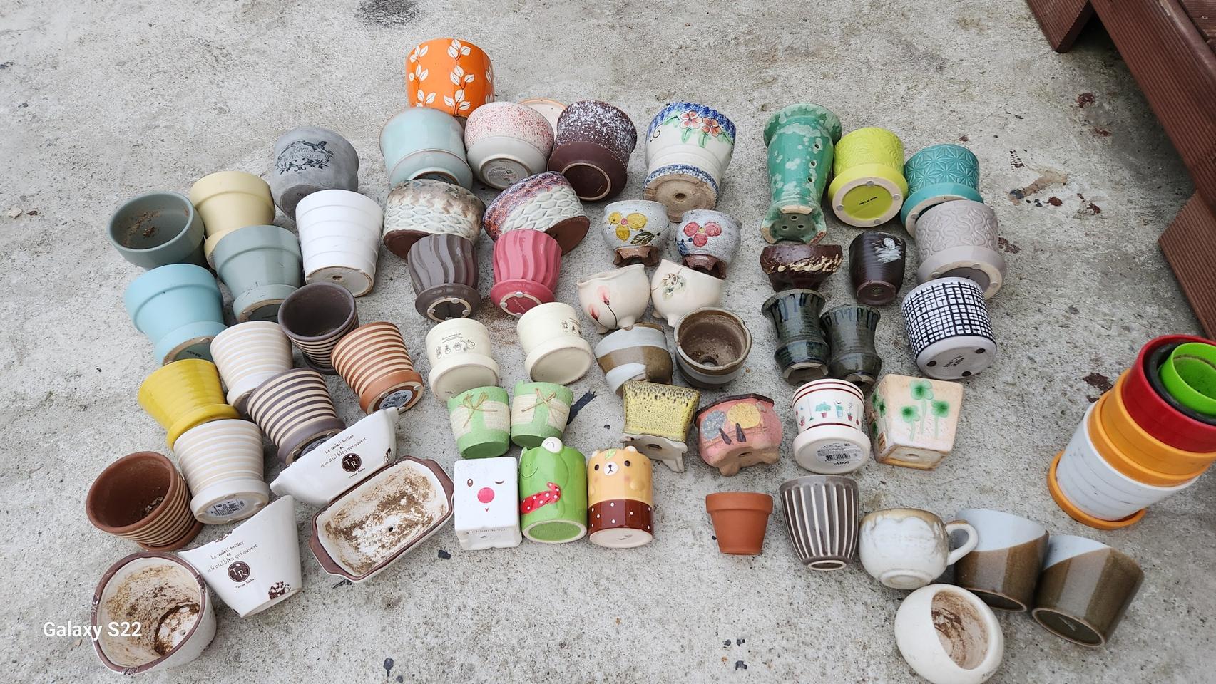 다육이 화분정리해요