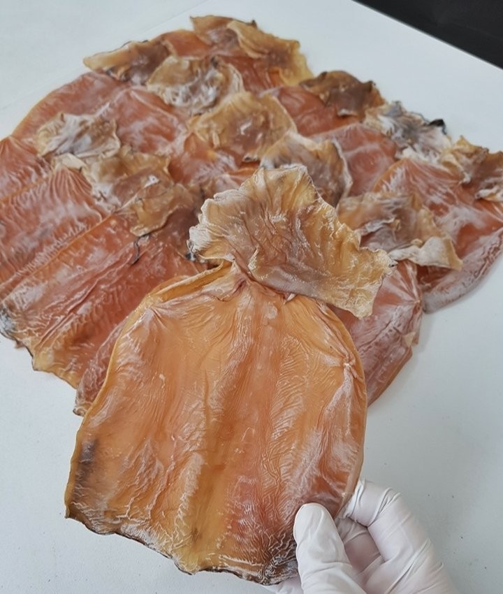 몸통오징어 대자 5마리