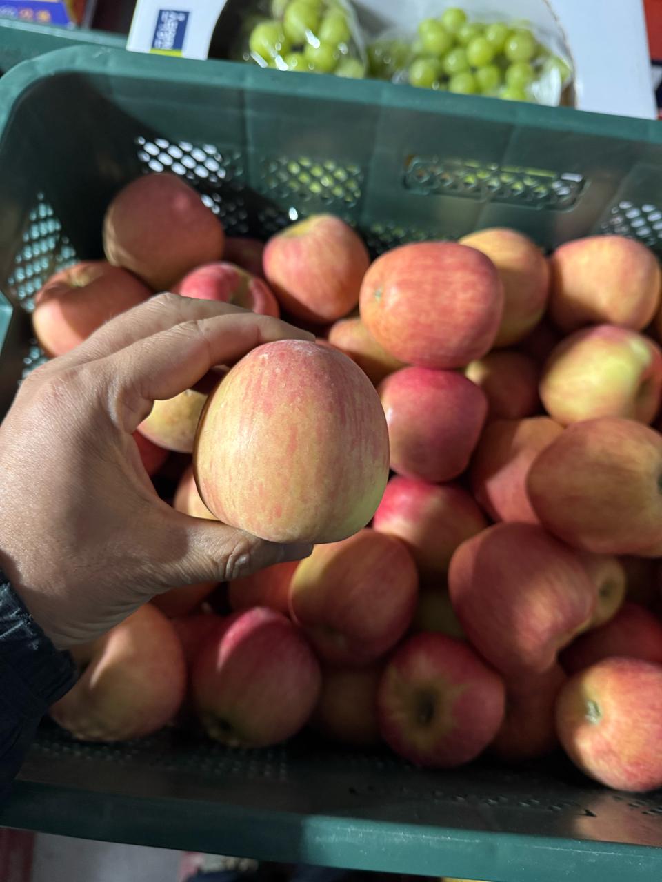 청송홍로 중소5키로 15000무료배송