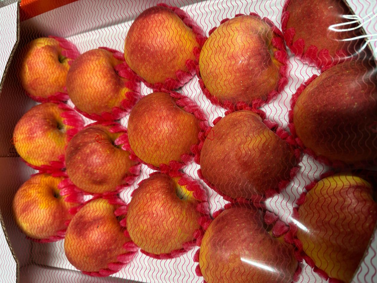 아리수 5키로 15과 35000 무료배송