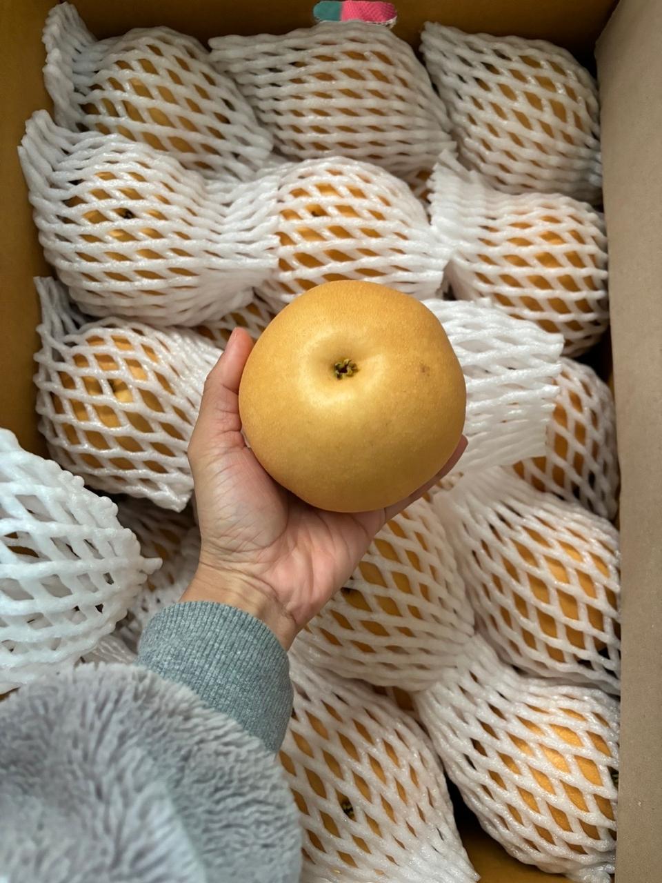 화산배 10키로23000무료배송