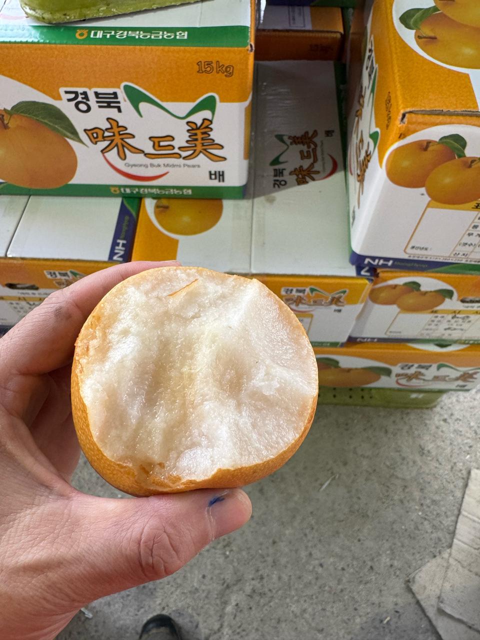 화산배5키로14000 무료배송