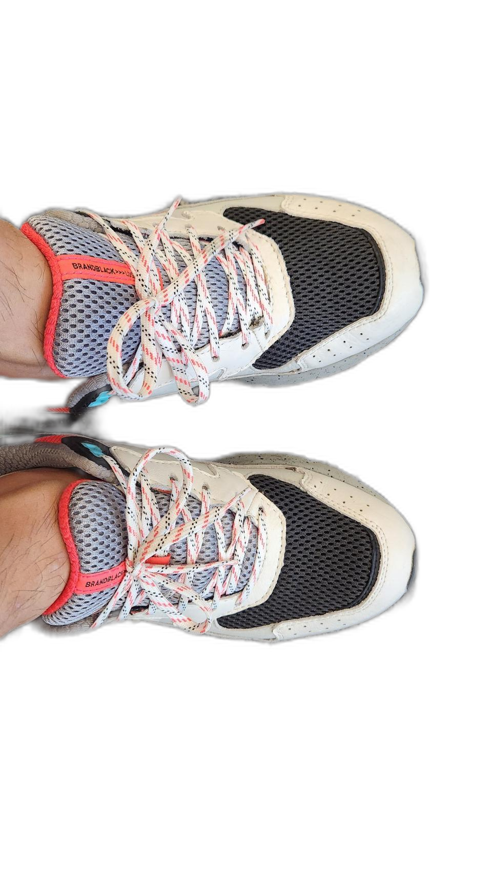 남녀공용 <브랜드 블랙> 255