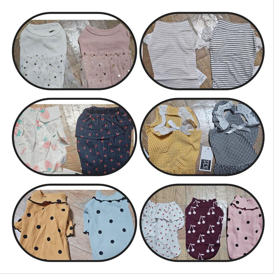 애견 의류 새상품