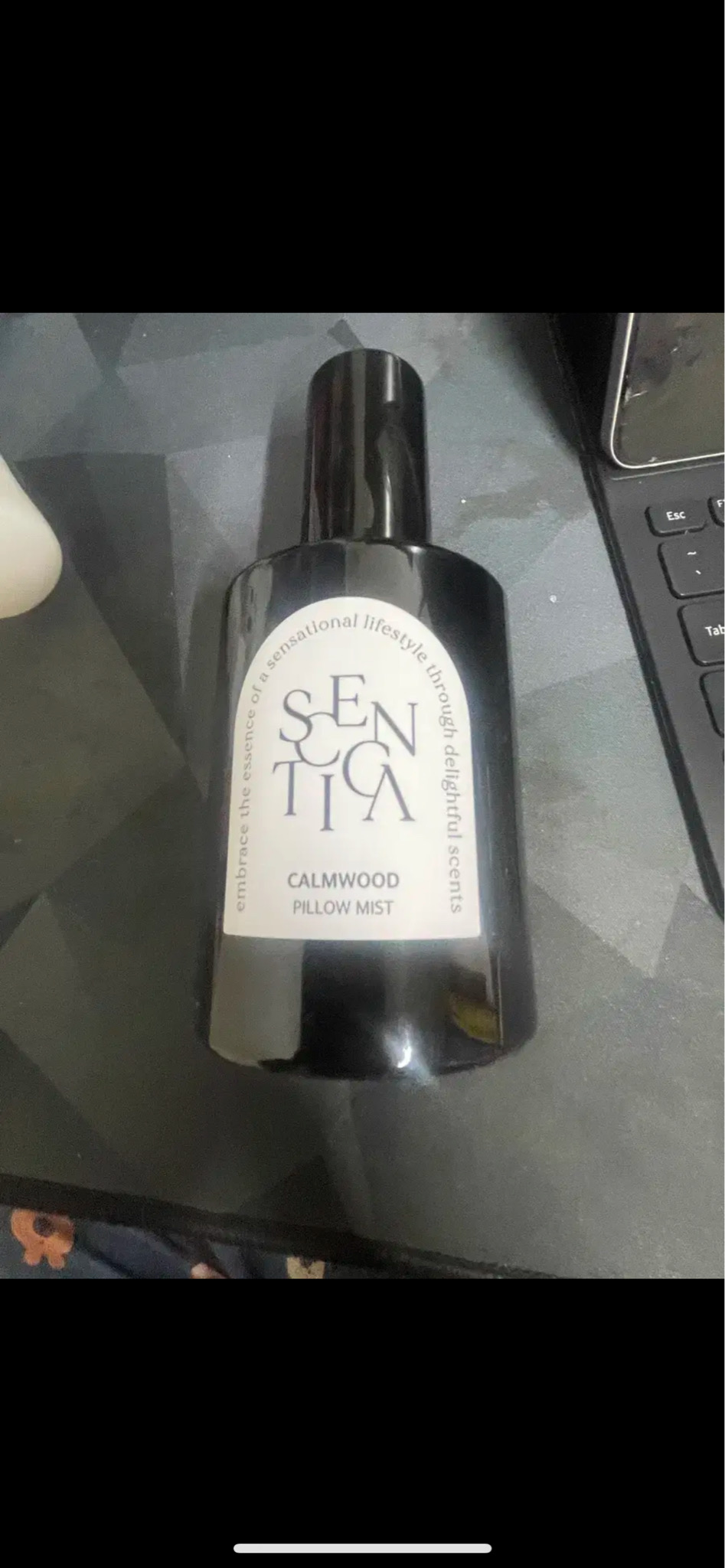 센티카 필로우미스트-캄우드