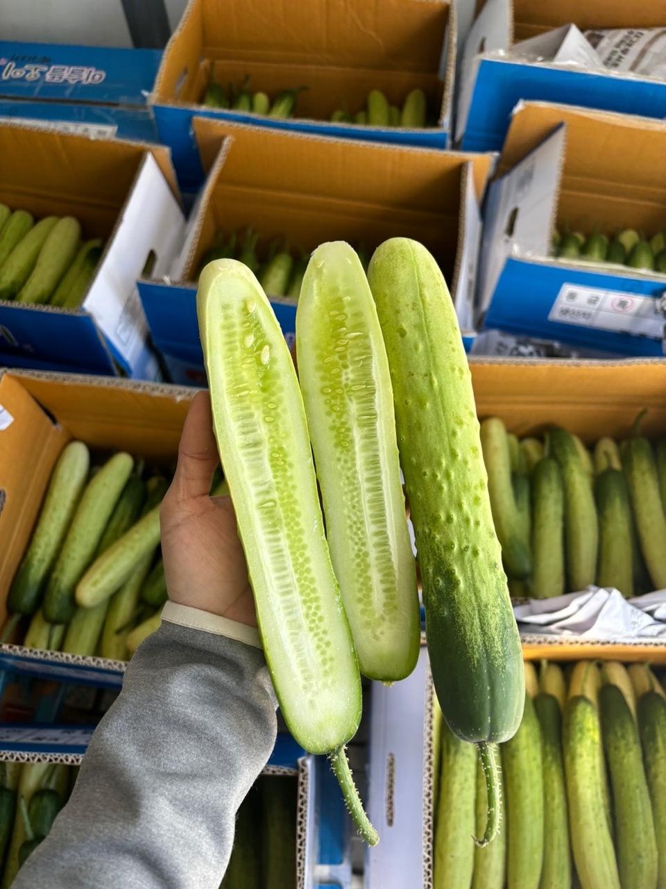 백오이5키로16000무료배송