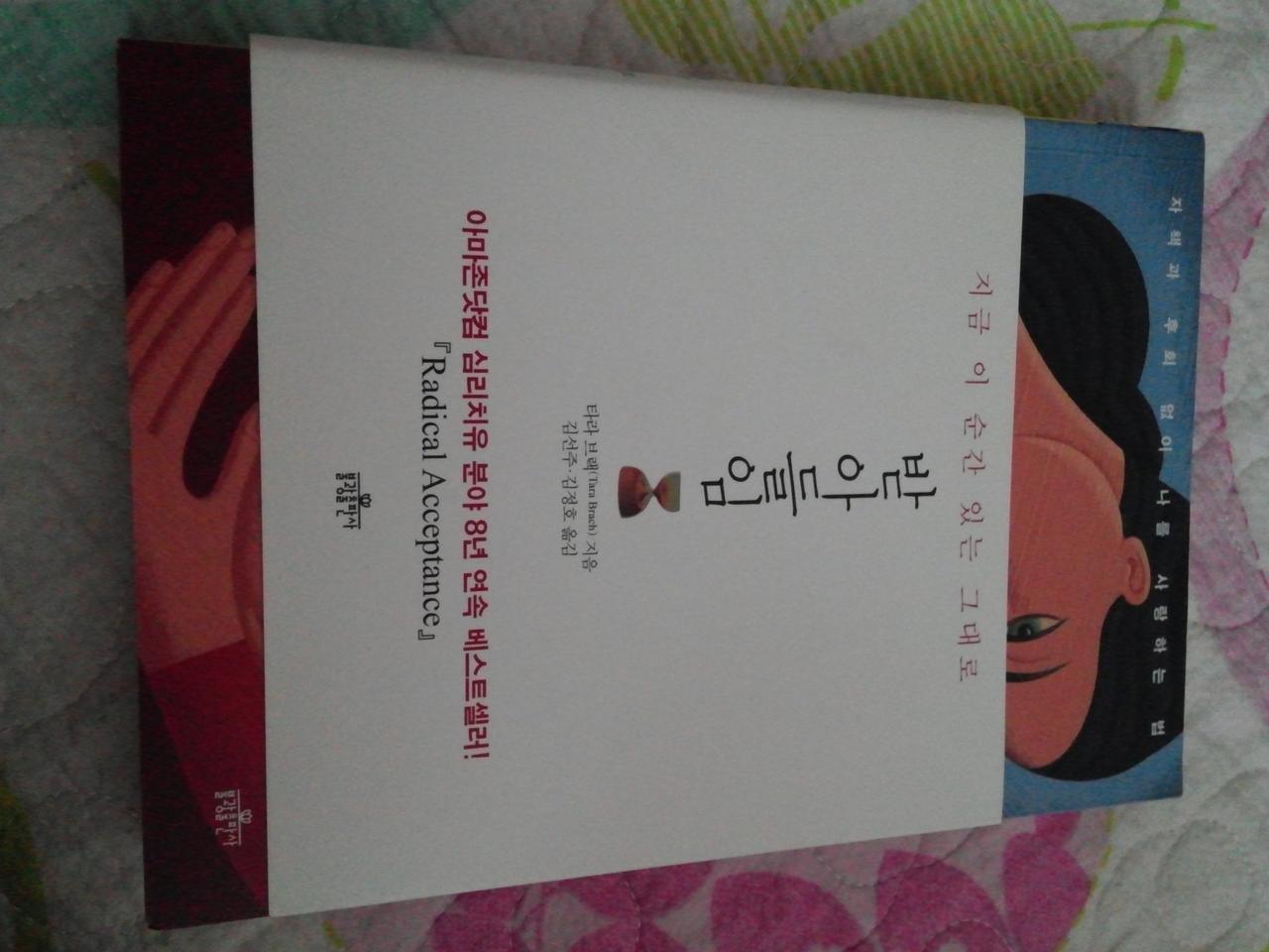 받아들임(심리치유)