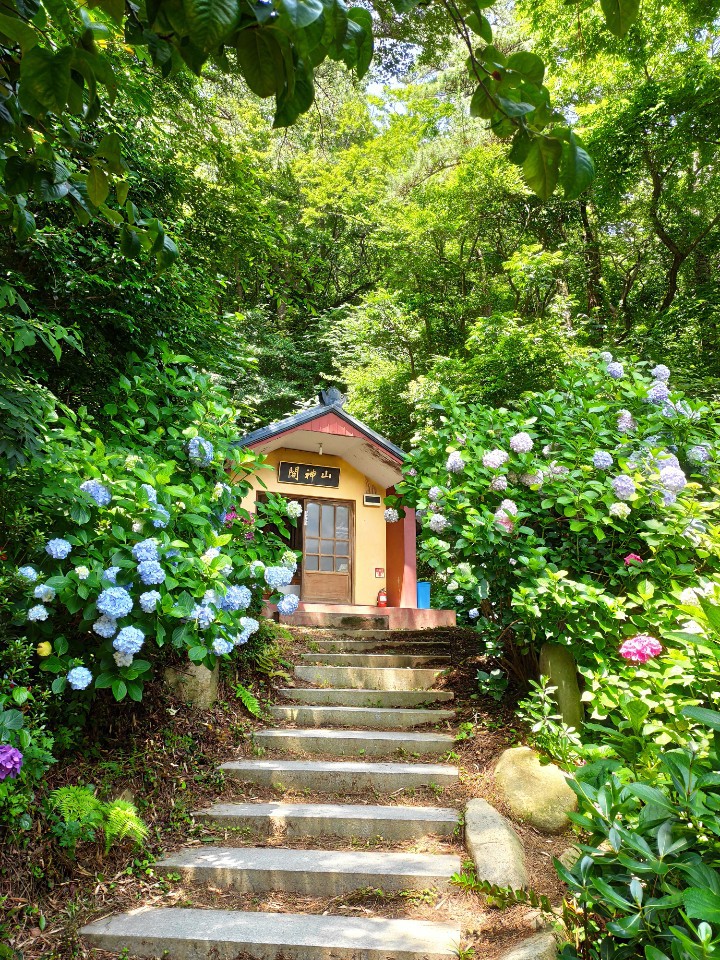 롯데시네마,CGV,메가박스,돌비시네마돌비애트모스,IMAX