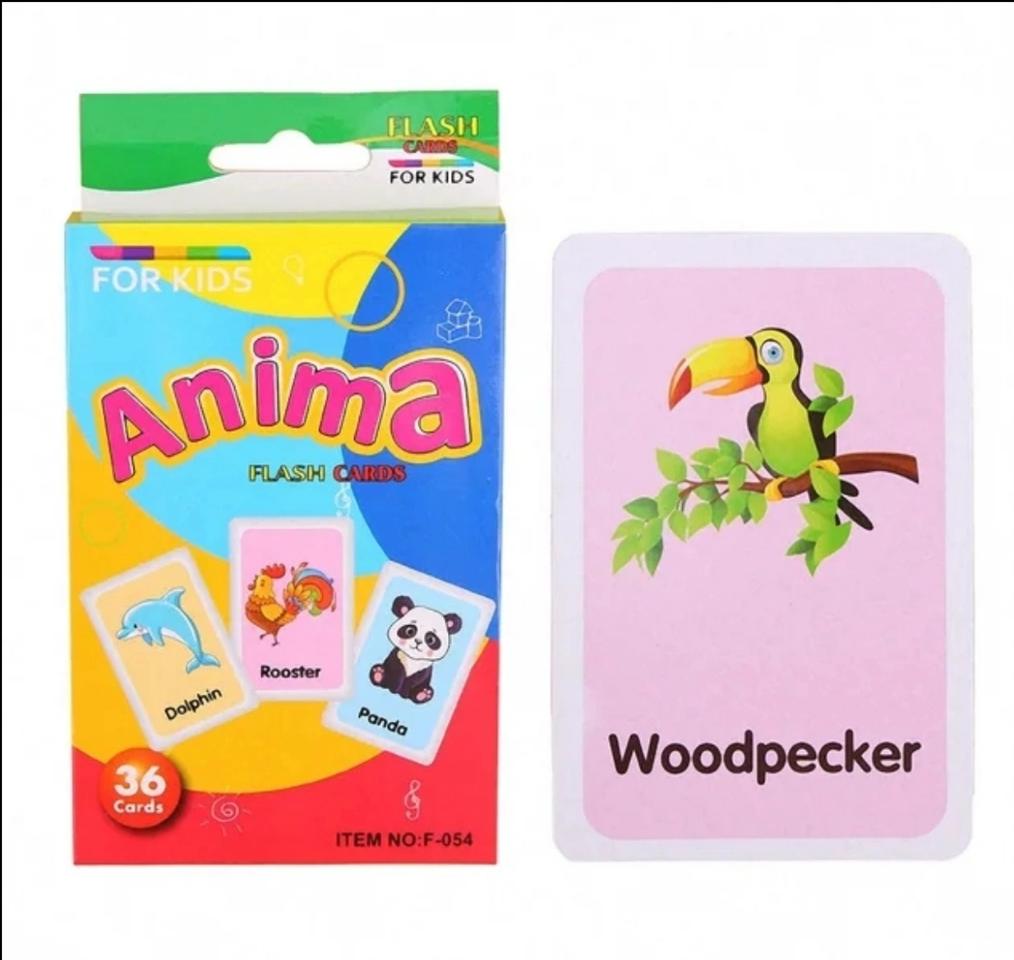 동물 인지 카드 새상품 장난감