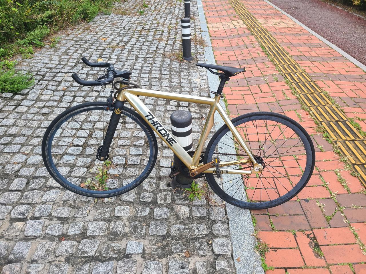 뜨론 픽식 급처(데다 불혼바)