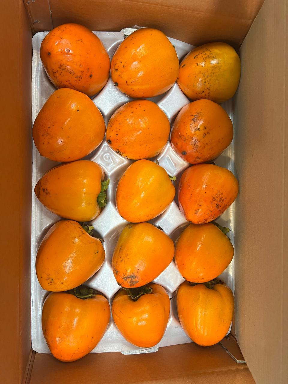 하동악양대봉감