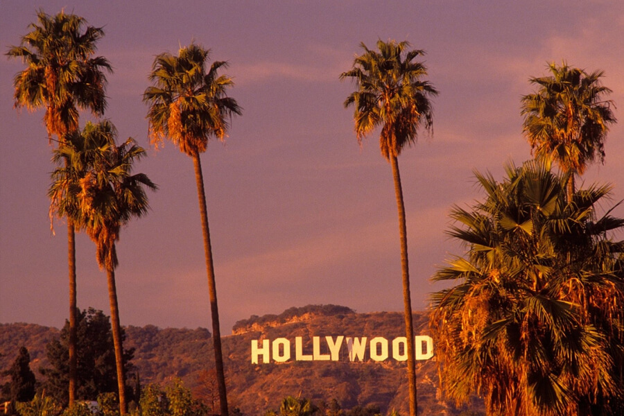 투어가이드(가이드), 사진작가와 영상기사, 환승(택시)이 하나로 합쳐진