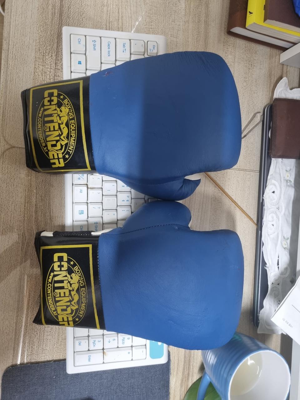 초보자용 복싱 글러브