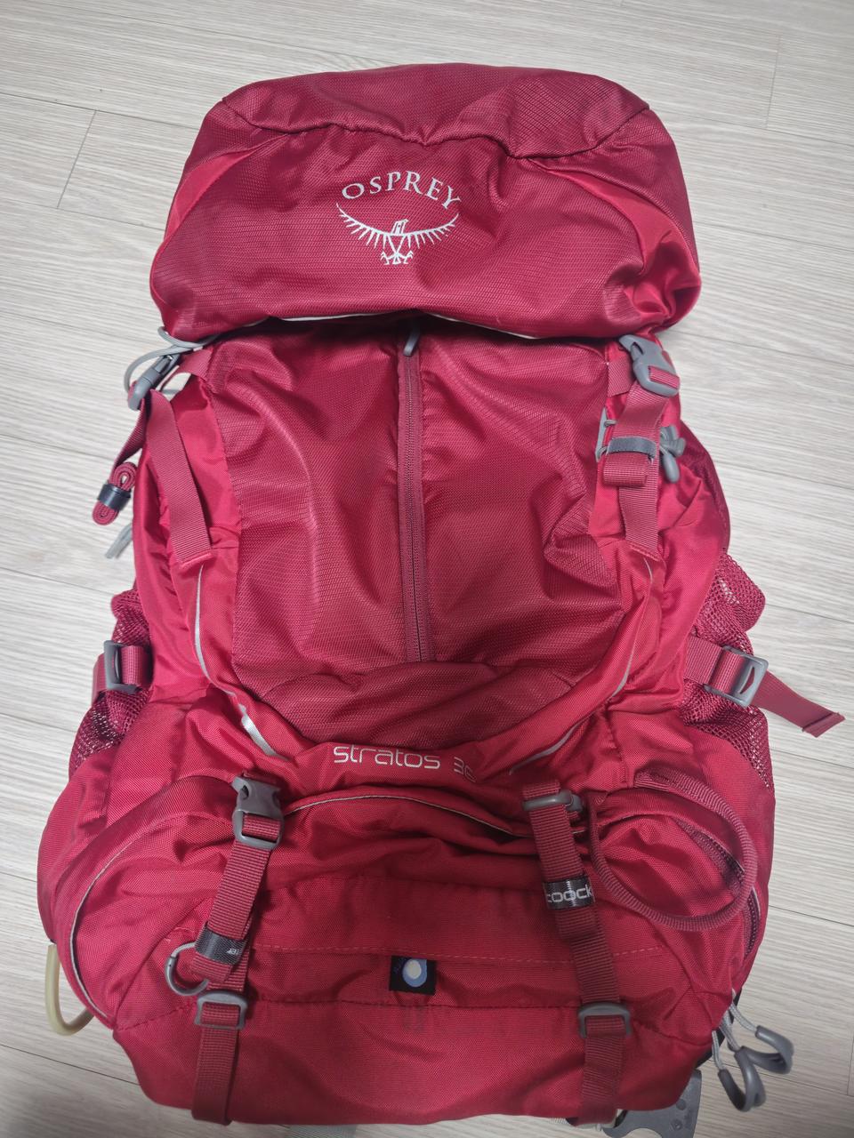 오스프리 스트라토스 36