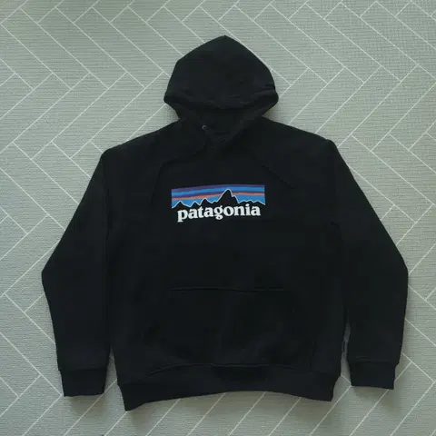 파타고니아 기모 후드티