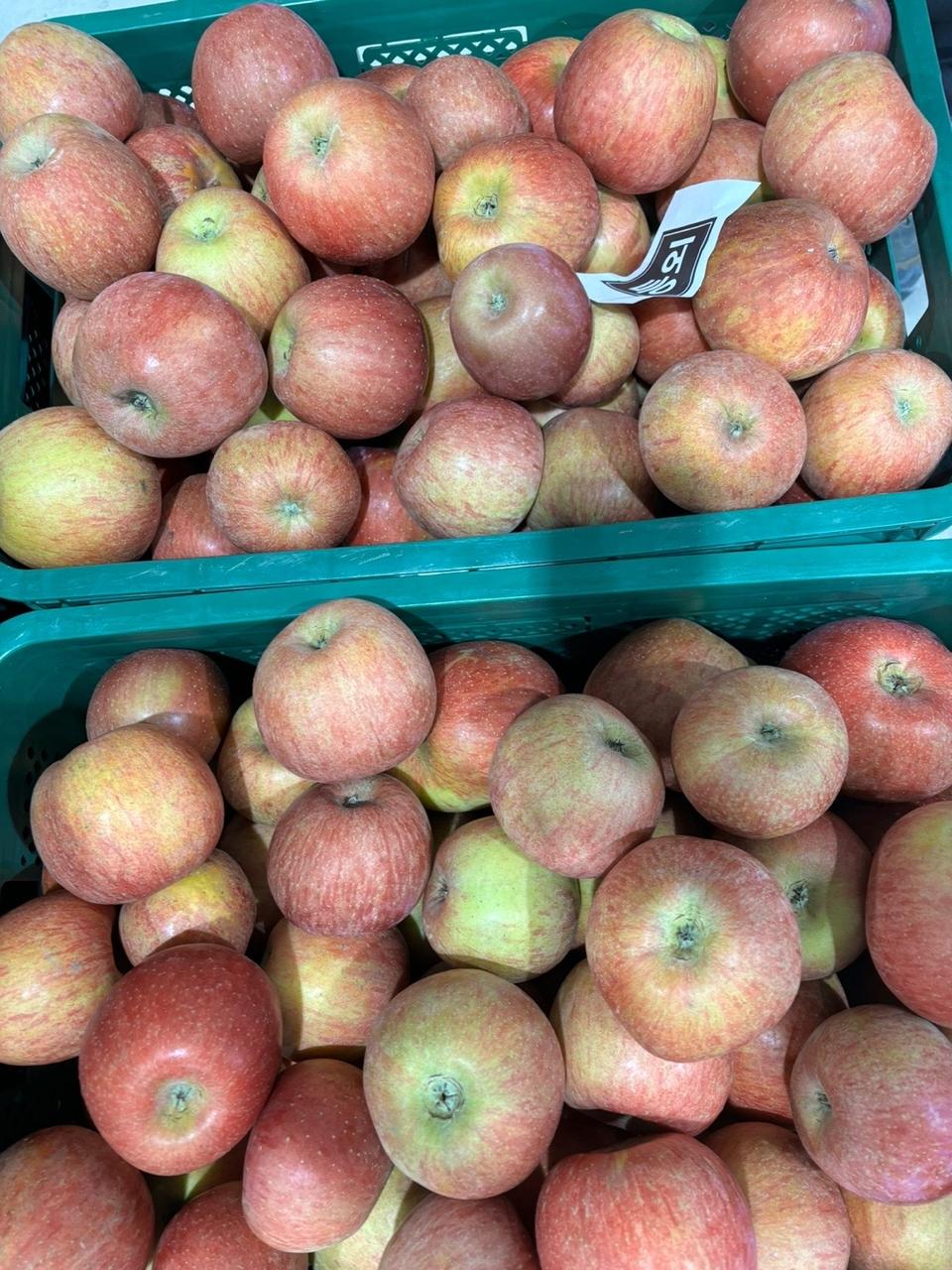 청송부사 9키로 36000무료배송