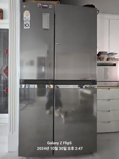 LG 디오스냉장고