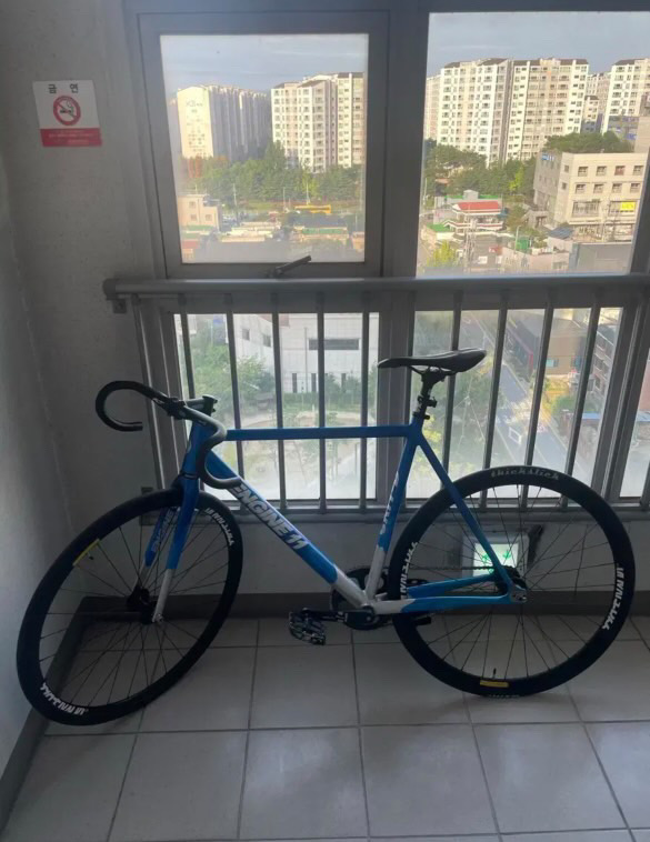 엔진11 캔디블루