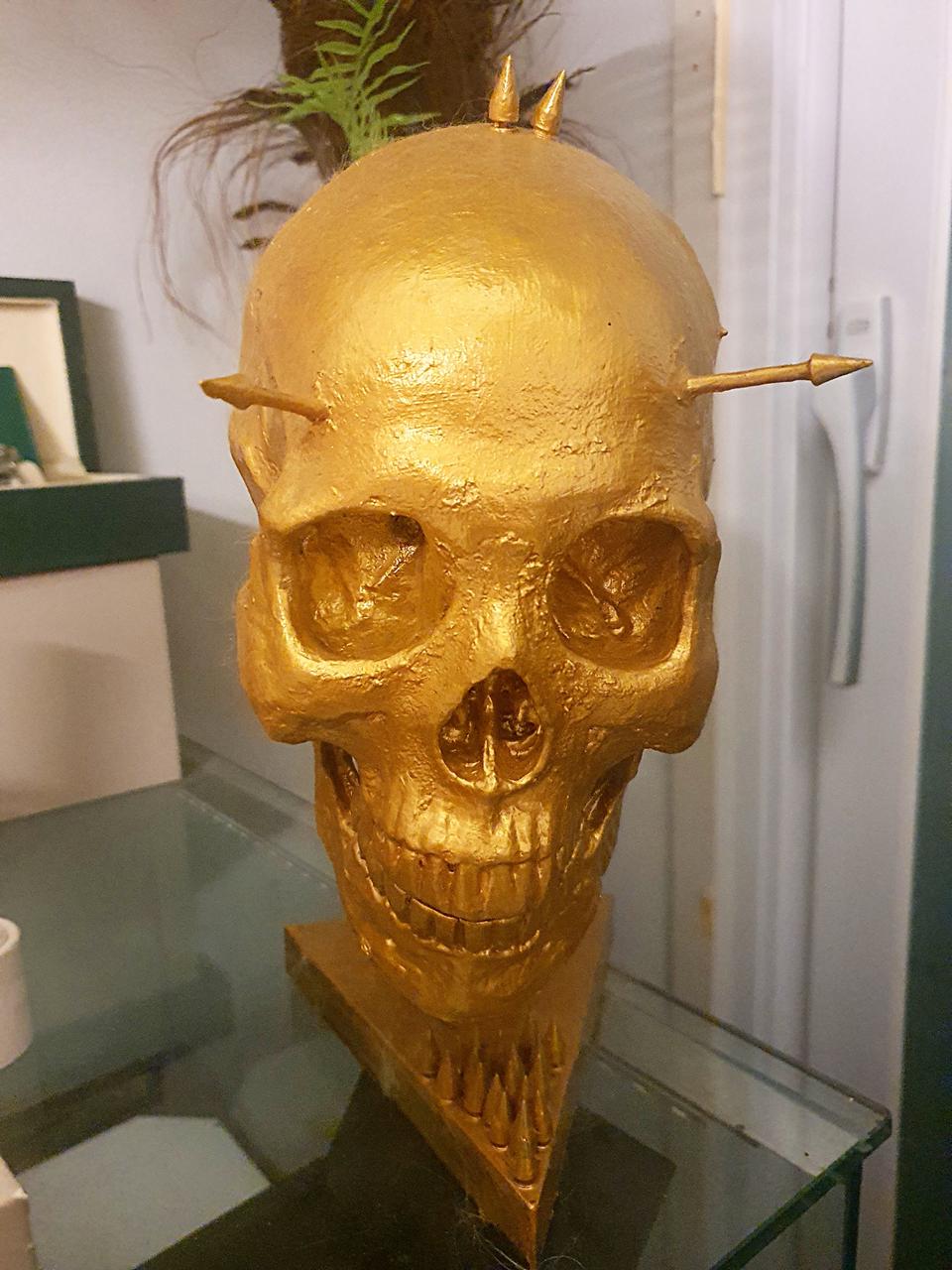 ◇전세계단한작품◇Wunderkrammer Human Skull