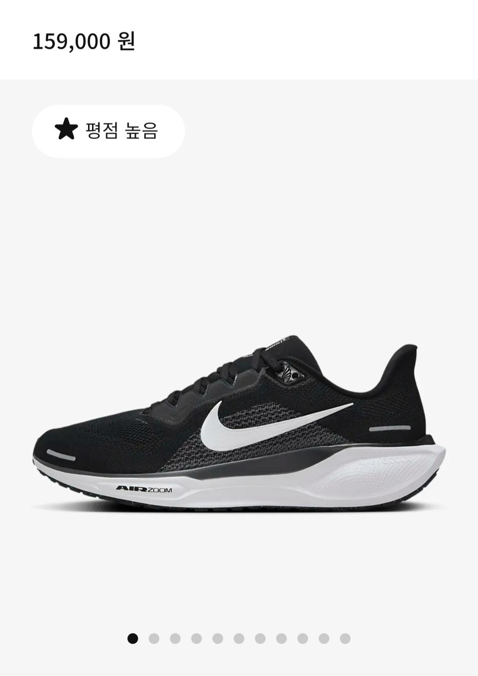 나이키 페가수스41 (240)