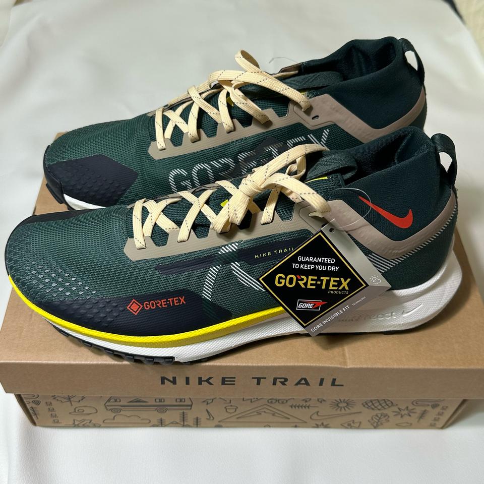 나이키 리액트 페가수스4 트레잉 고어텍스