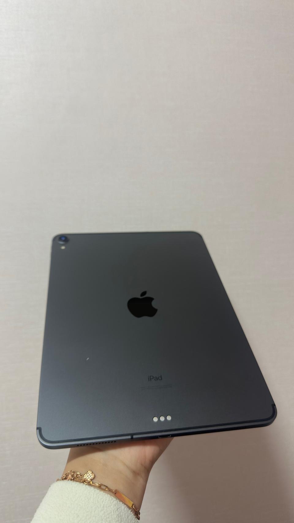 아이패드 프로 3세대 (11형 1세대) 256기가 셀룰러