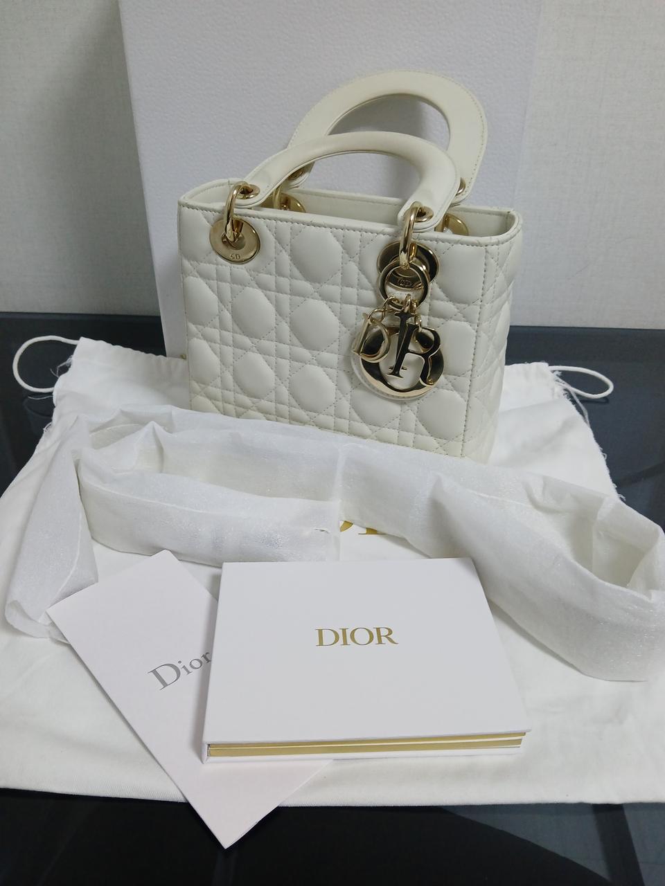 디올 레이디백 스몰abc - 21년