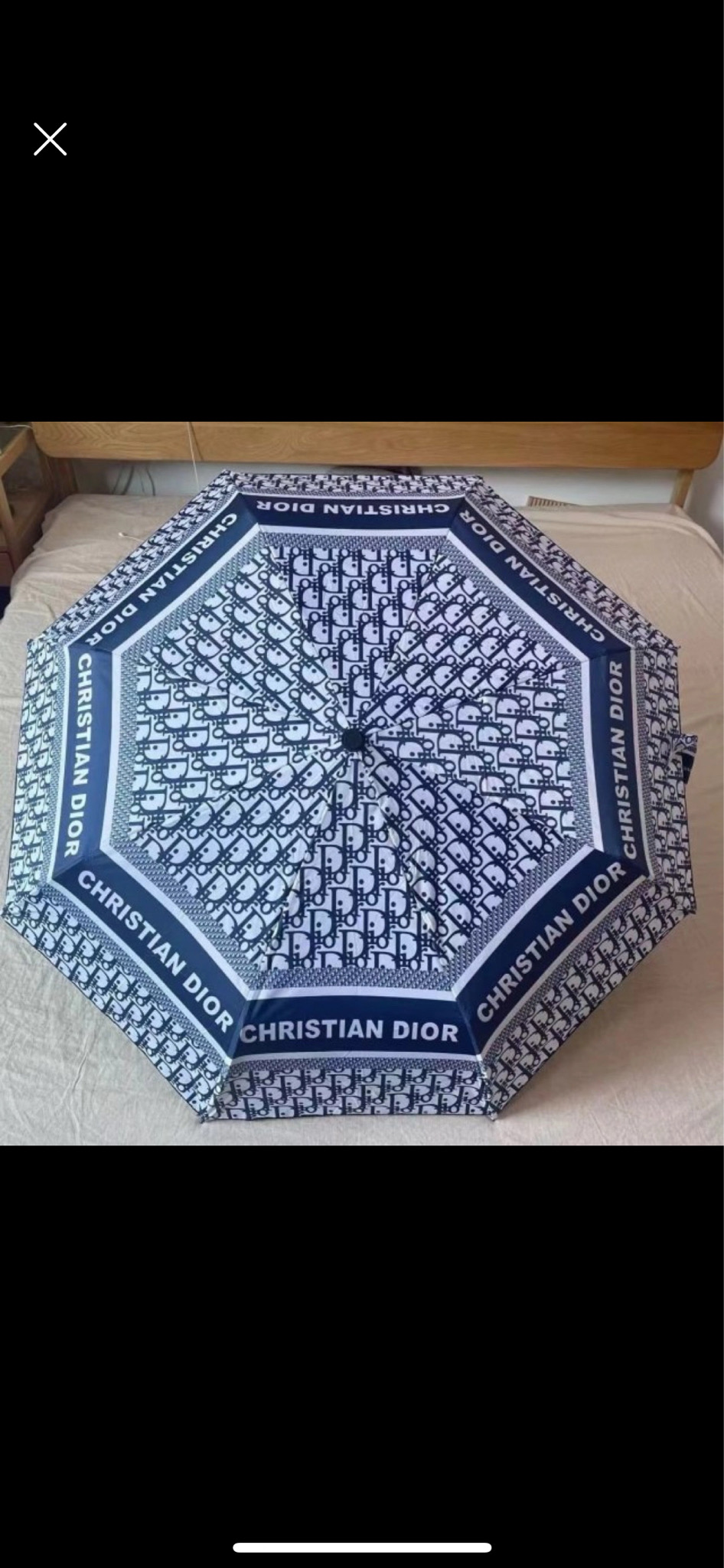 디올 우산