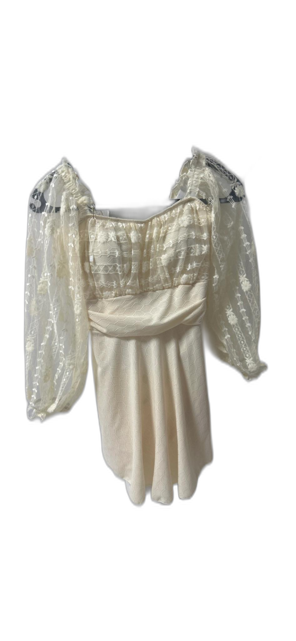 빅사이즈시스루수영복