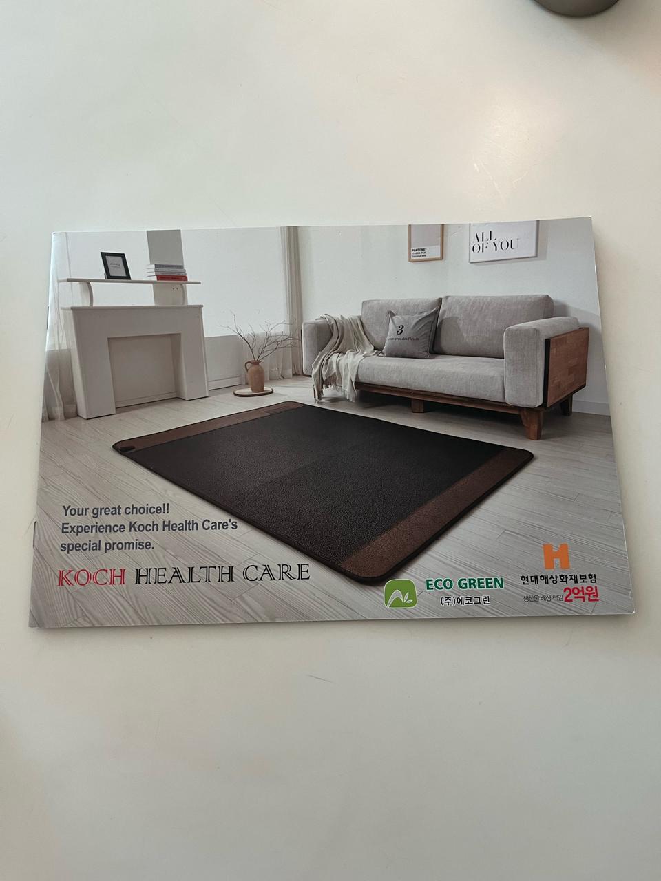 탄소 거실매트
