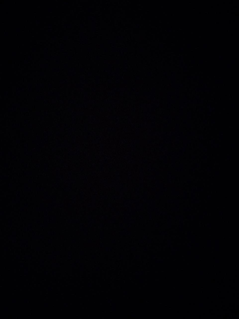 아디다스 슈퍼스타 xxL 프린트버전