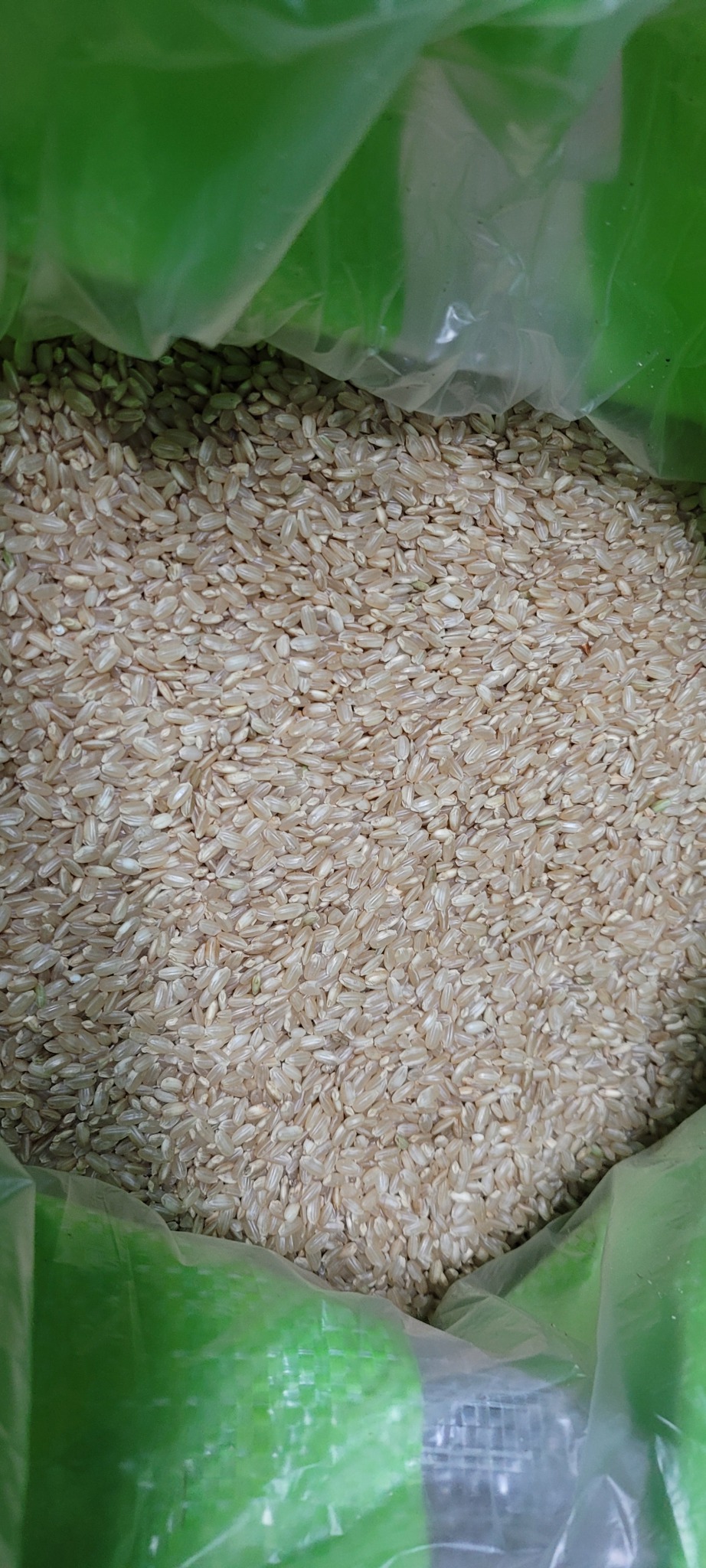 현미쌀 2025년산