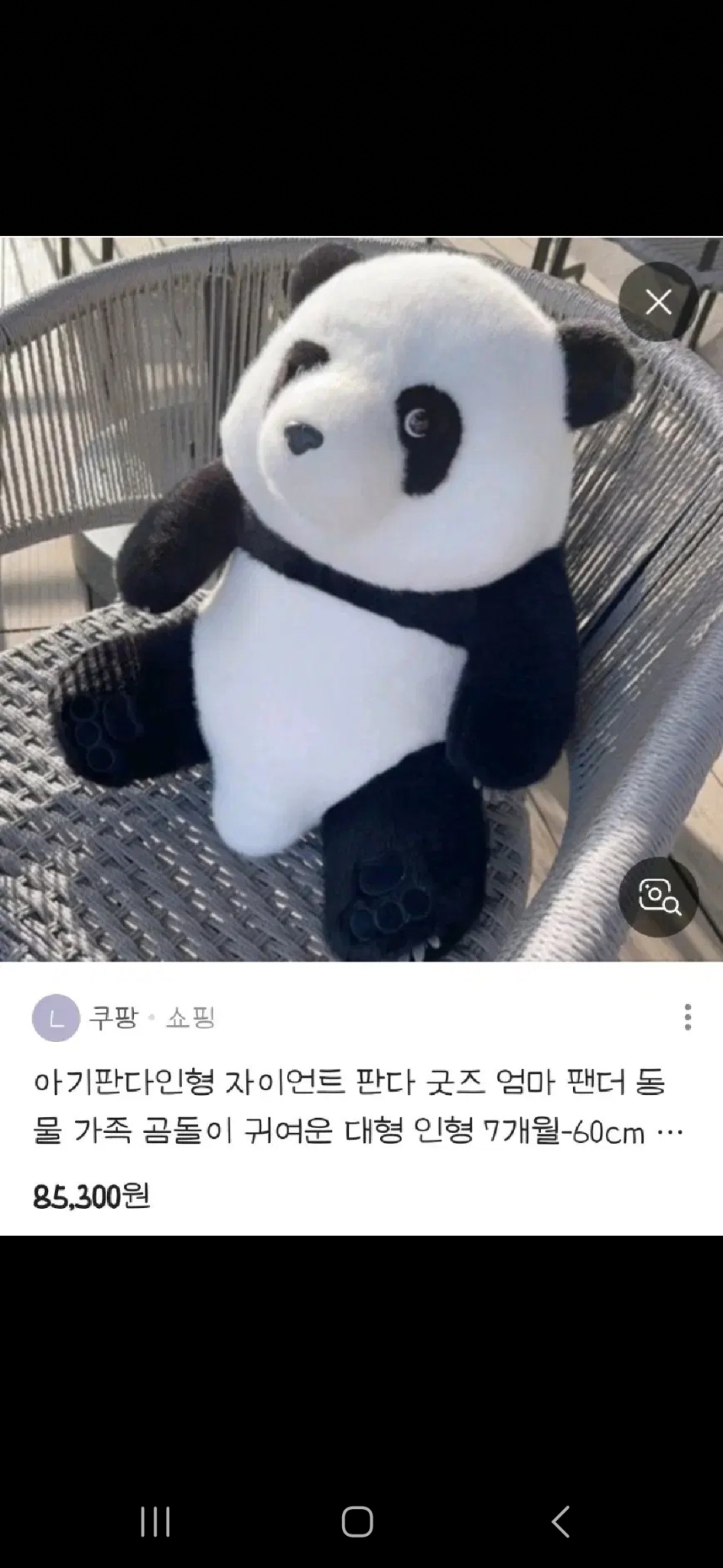 푸바오