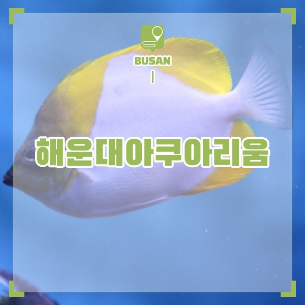 부산 아쿠아리움