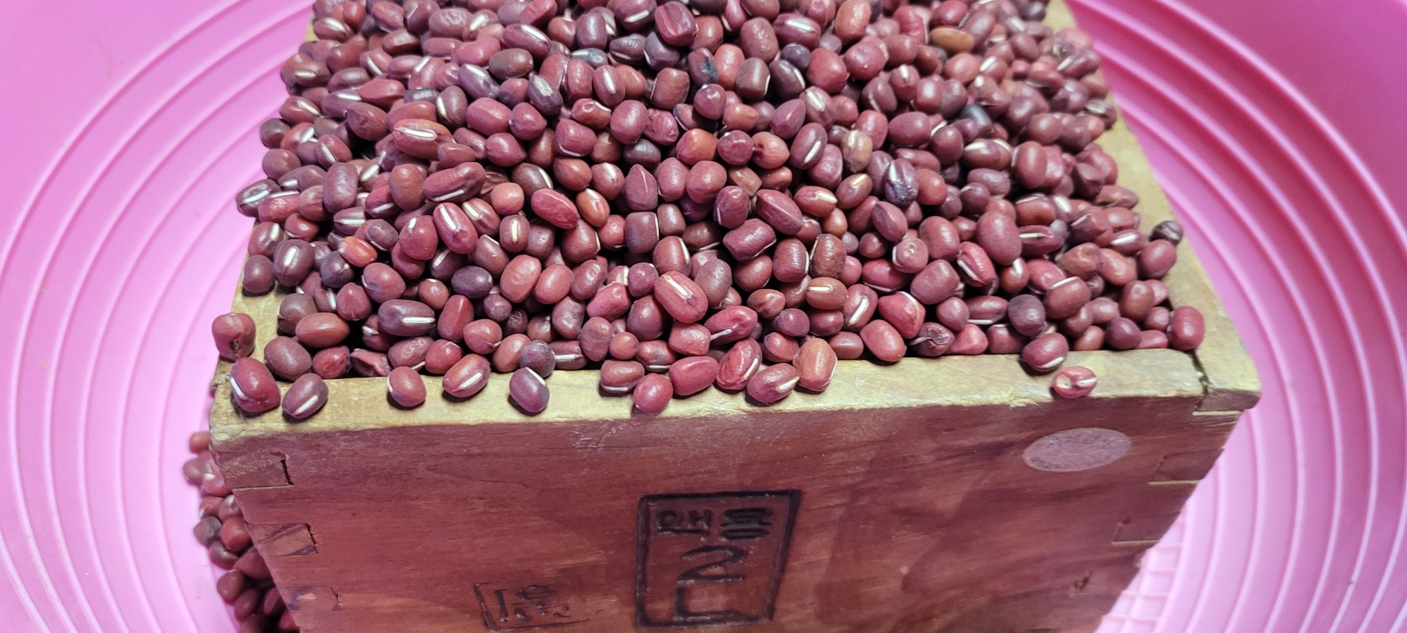 2025년산 (붉은팥)