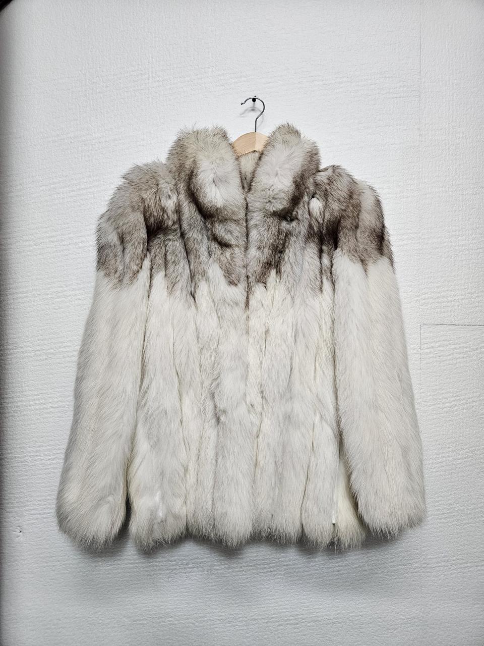 진도 사가폭스 m