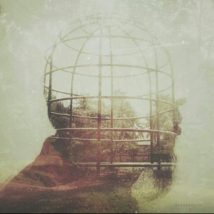 profileImg