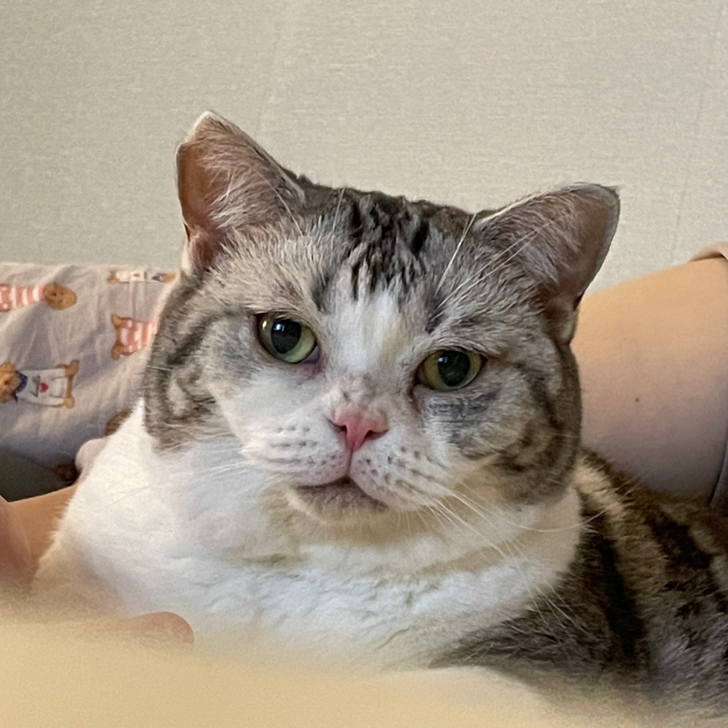 profileImg