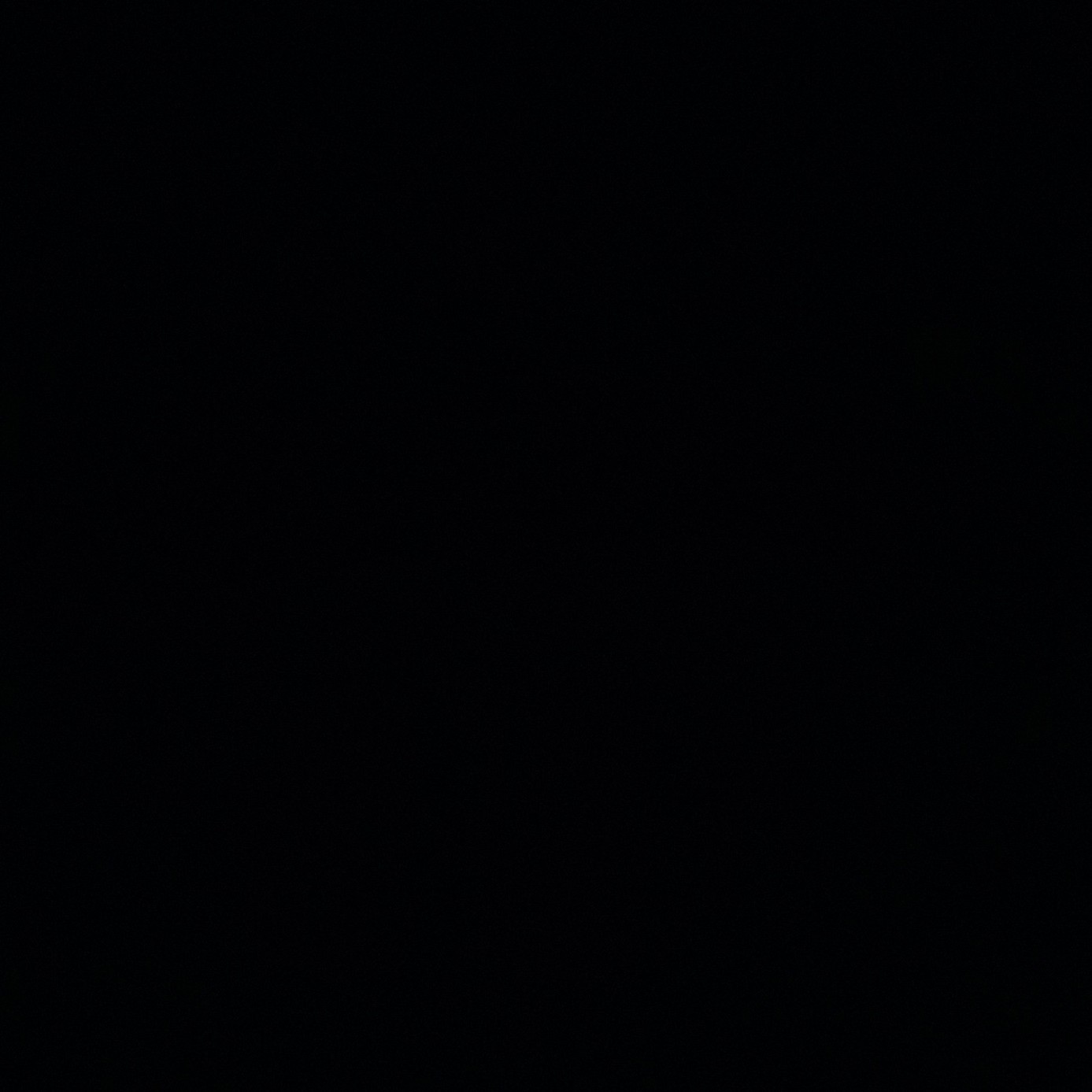 profileImg