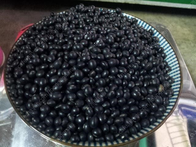 ▦ 2025年 수확한 (국산)약콩 <서목태,쥐눈이콩>