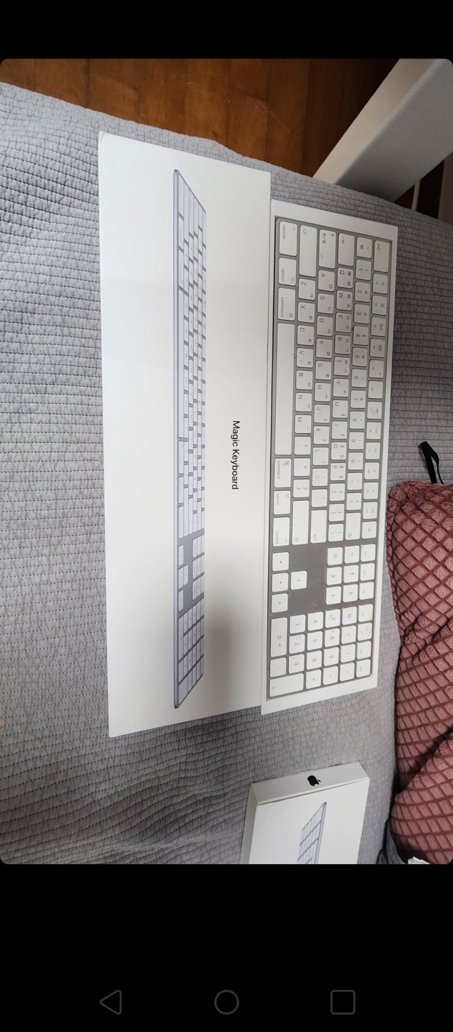 애플 매직 키보드