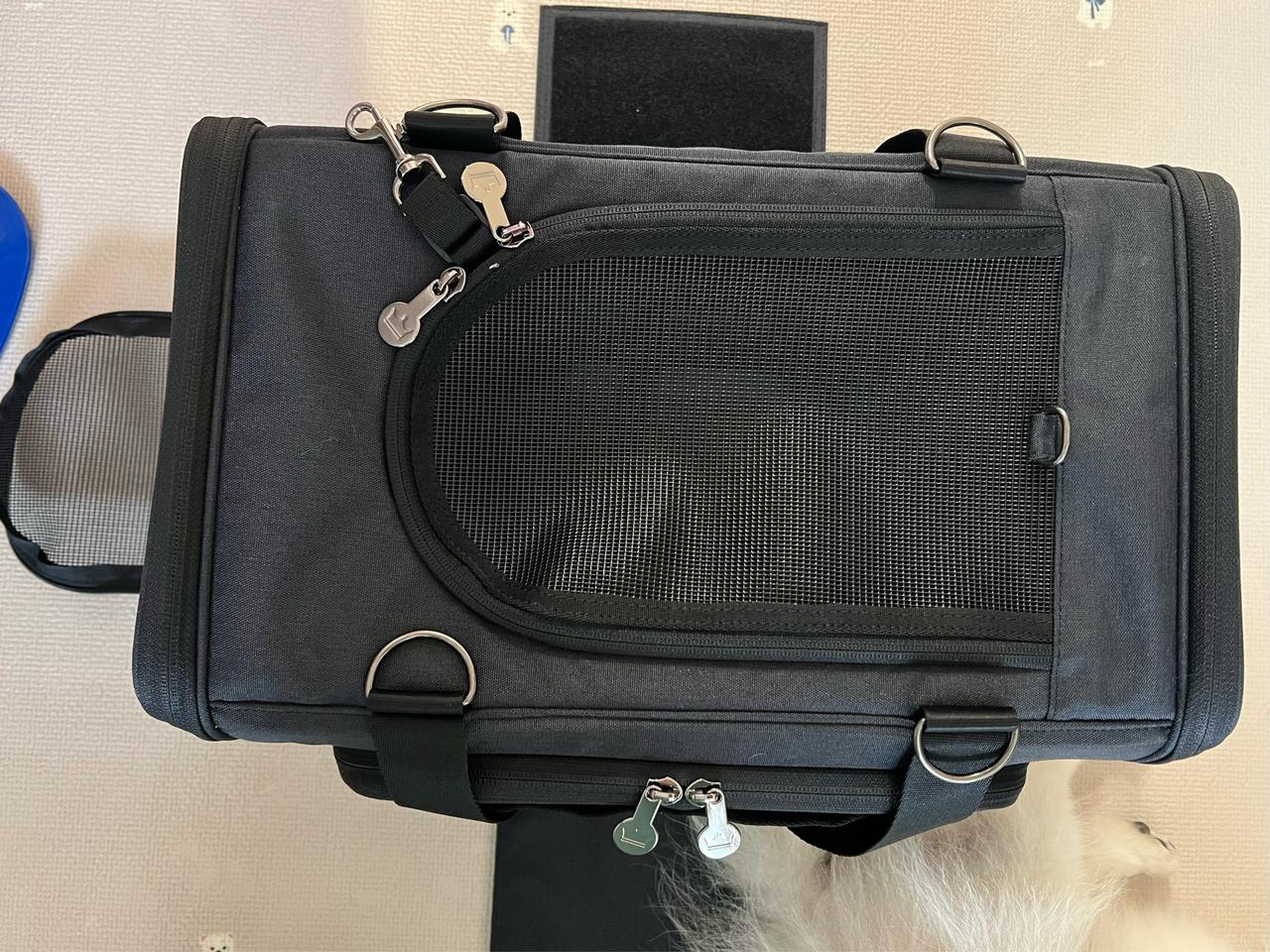 로얄테일즈 강아지 이동장 기내용 사이즈