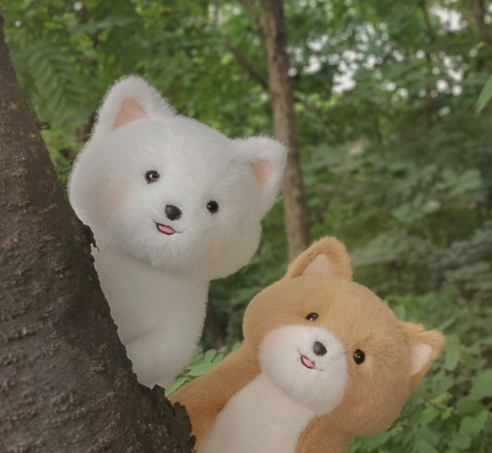 [새상품,택있음] (정품 인형) 30cm 시로시로 담비인형