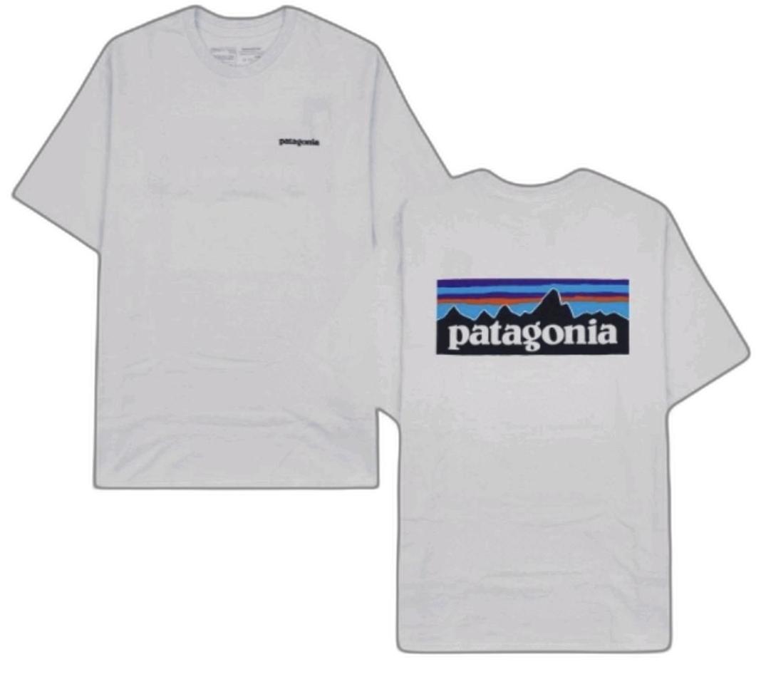 파타고니아 정품)24년 FW 멘즈 P-6 로고 리스판서빌리 반팔티셔츠