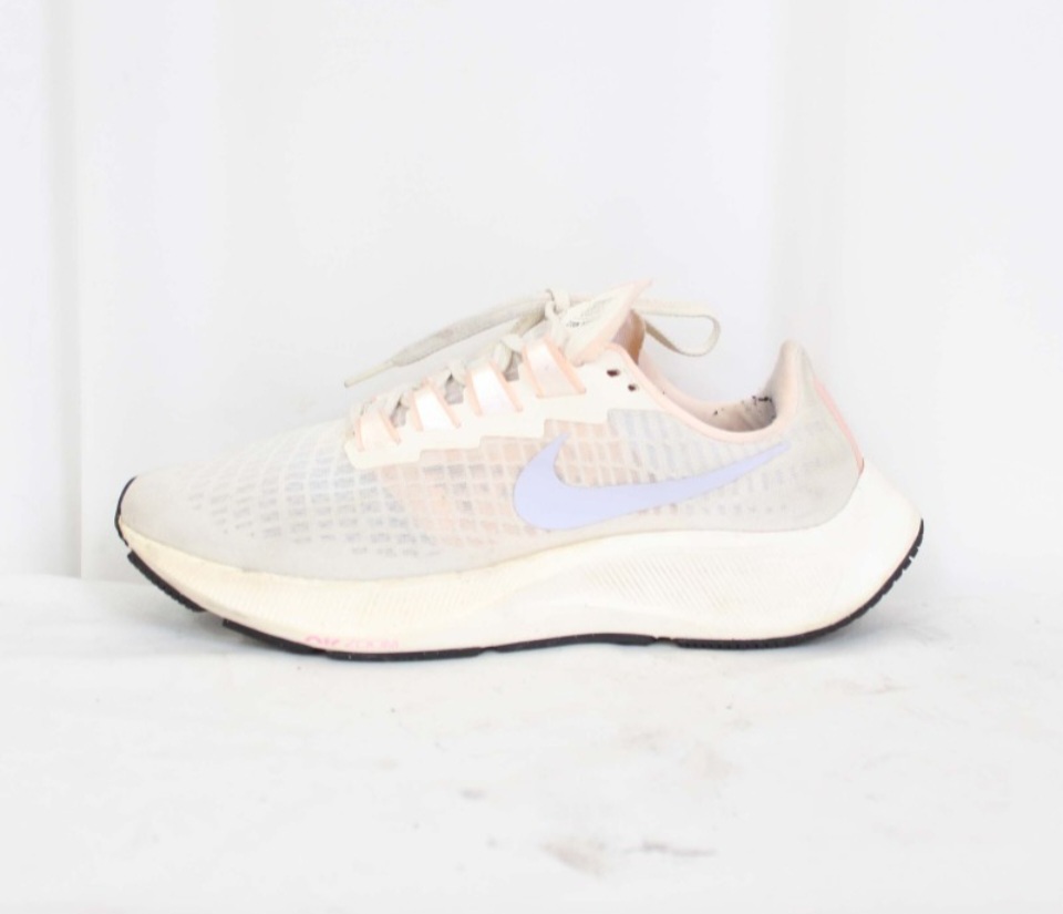 나이키 에어줌 페가수스 250