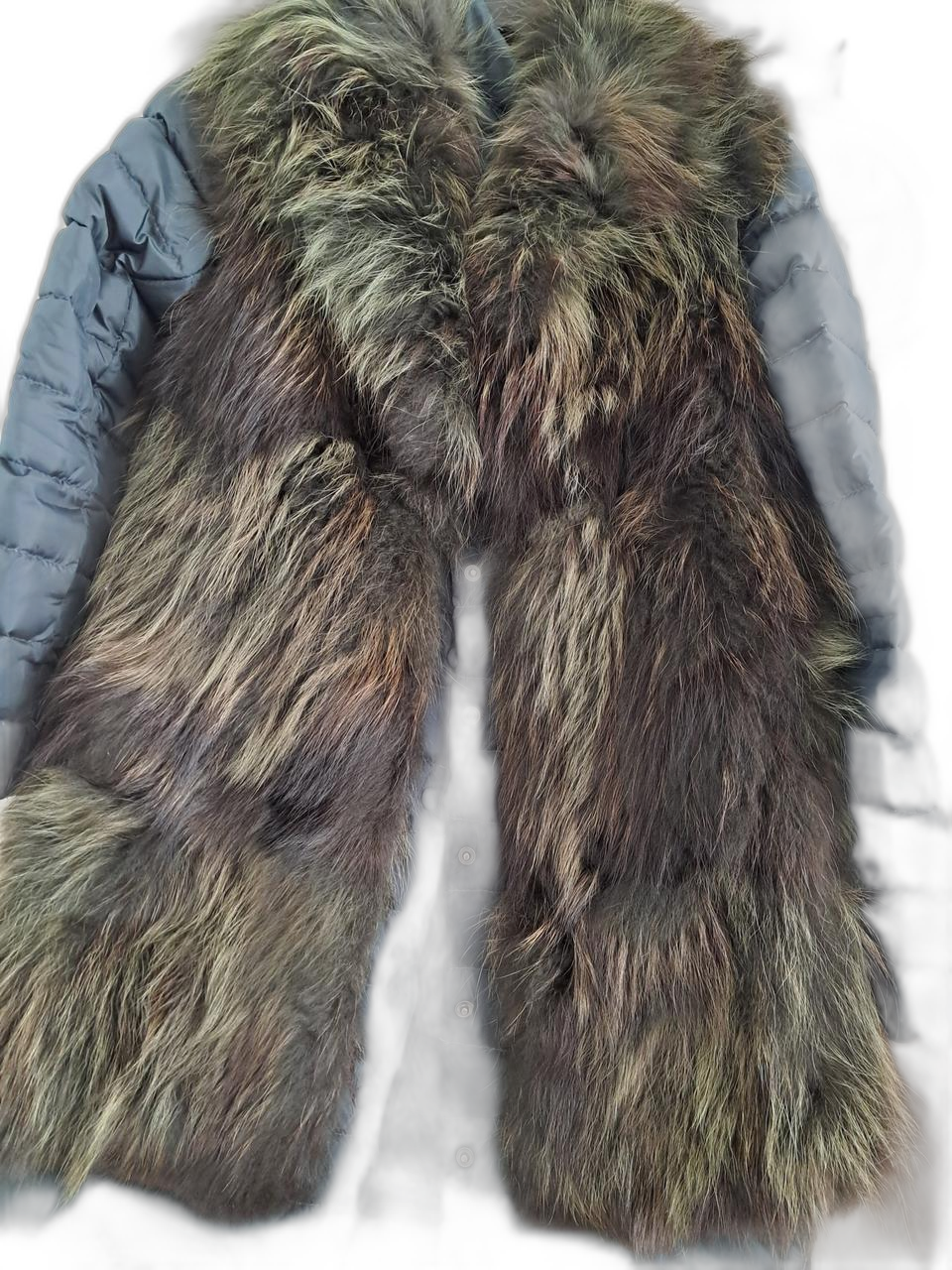 폭스(여우) 롱베스트