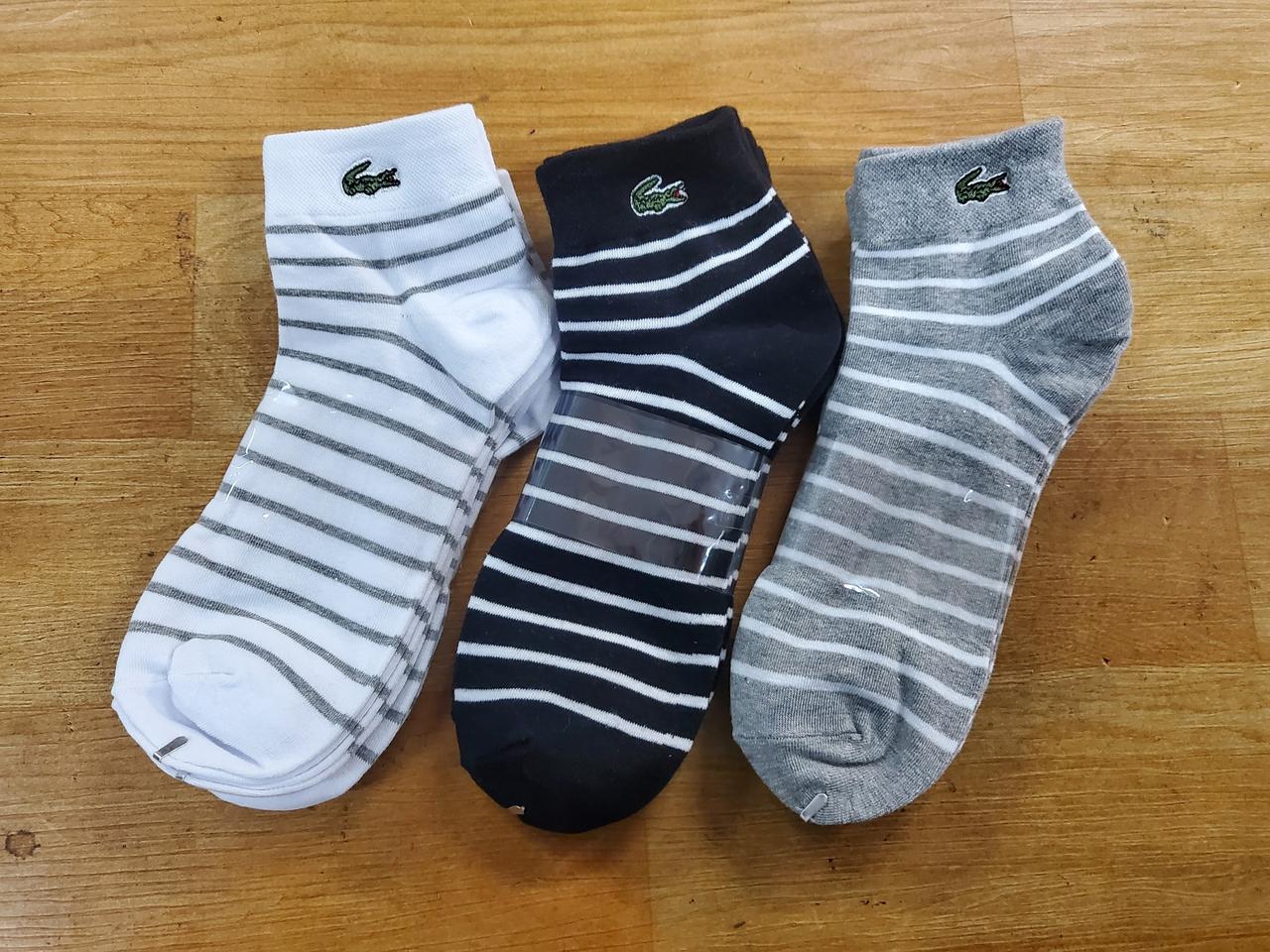 라코스테 링글 자수단목