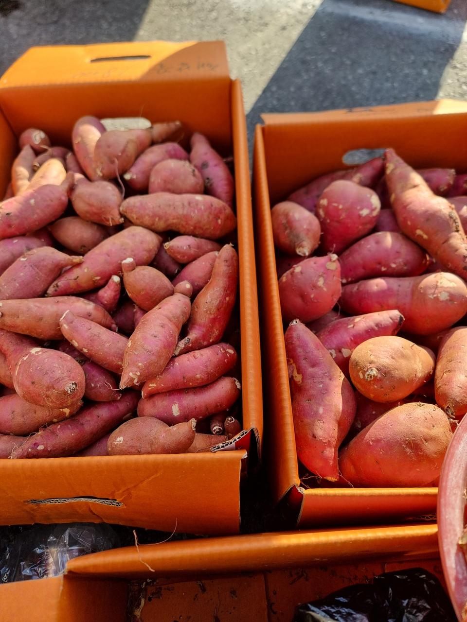 해남꿀고구마10키로택비포함25000원