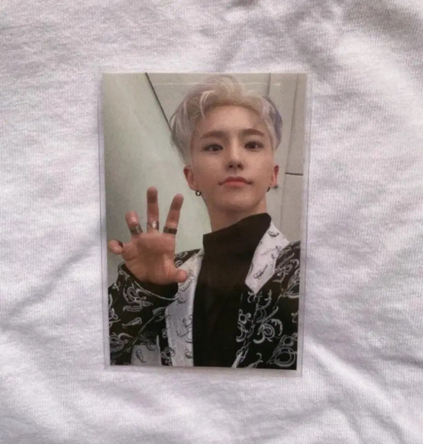 트레카 4장 덤) 세븐틴 호시 호랑해 스파이더 트레카 50번 양도